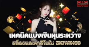 เทคนิคแบ่งเงินทุน BIGWIN59